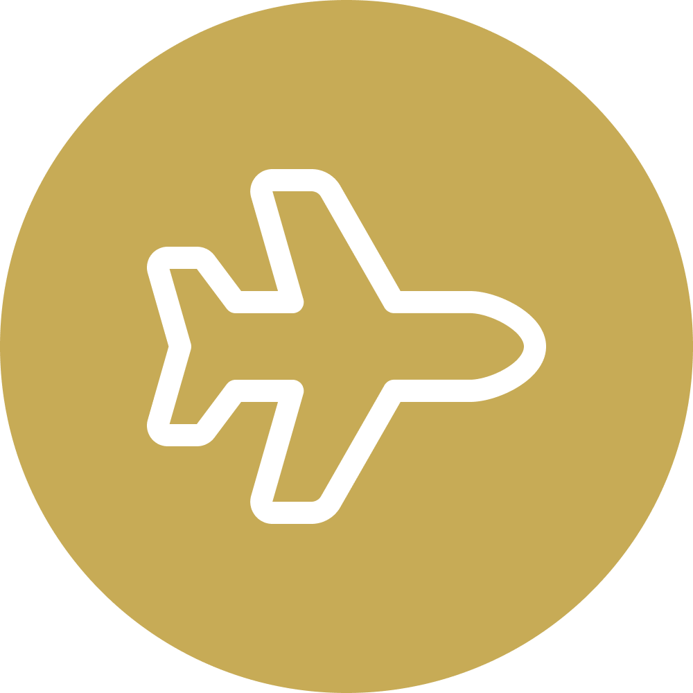 Airplane icon